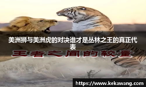 美洲狮与美洲虎的对决谁才是丛林之王的真正代表